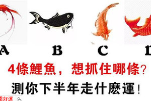 心理測試：你想抓住哪一條鯉魚？測你下半年走什麼運！