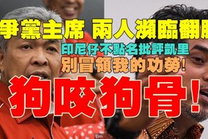 【大馬】巫統黨政升級為爭黨主席狗咬狗骨，兩人瀕臨翻臉；印尼仔不點名批評凱里：別冒領我的功勞