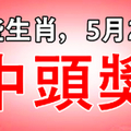 这些生肖，5月23日，中头奖！