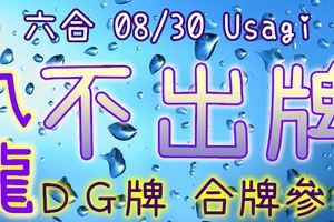 六合彩 08/30 Usagi 九龍 精選低機號碼 供您參考