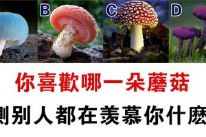 心理測試：四個蘑菇選一個，測別人都羨慕你哪方面！