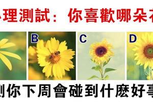 心理學：你喜歡哪朵花？測你下周會遇到什麼好事！