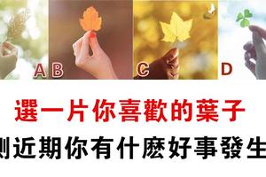 心理測試：你喜歡哪一片葉子？測你最近有什麼好事正當紅！