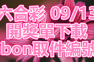 六合彩 2018/09/13 開獎單下載 IBON 取單編號