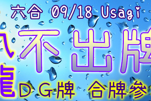 六合彩 09/18 Usagi 九龍 精選低機號碼 供您參考