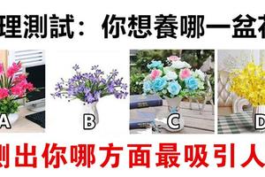 心理學：你想養哪盆花？測出你哪方面最吸引人！