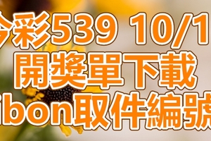 539 2018/10/17 開獎單下載 IBON 取單編號