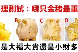  心理測試：哪只金豬最重？測你是大福大貴還是財源滾滾！