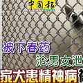 被下春药， 沦男女泄欲玩物， 家犬患精神病被迫死 ！