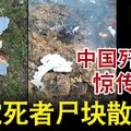 中国歼-10S惊传坠毁 2死者尸块散一地