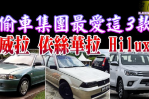 偷車集團最愛這3款 威拉 依絲華拉 Hilux