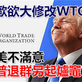 美日歐欲大修改WTO 一旦美不滿意 特朗普退群另起爐竈？