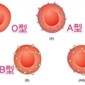 原來得病跟血型也有關！什麼血型要注意什麼健康隱患，非常重要！千萬要注意！