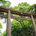 神社和寺廟到底差在哪？去日本神社前必看3大重點，光是祈禱動作就有分！