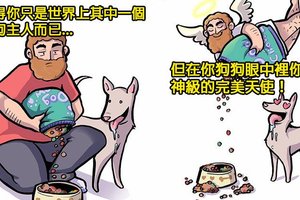 10張讓你發現你有多完美的「狗狗眼中的你」插畫。