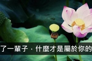 忙了一輩子，什麼才是屬於你的？好漂亮的一段話，與您分享！