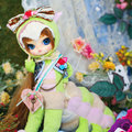 DAL/ Chenille du Jardin Regular Size Complete Doll Groove (Release Date: Apr-2014)