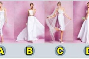 妳最喜歡哪套婚紗？測出你的天性！