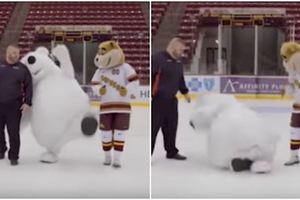 北極熊拍汽車廣告「瘋狂摔倒」超崩潰，摔到沒完沒了的「NG片段」讓網友笑炸！