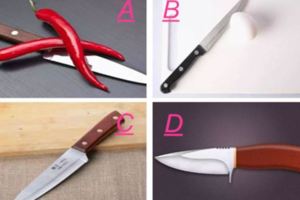 哪把刀子最鋒利？測出有多少人羨慕你的生活？