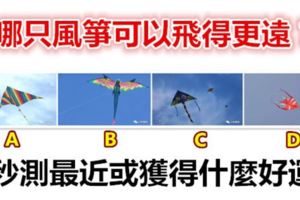 哪只風箏可以飛得更遠？秒測最近或獲得什麼好運