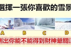 選擇一張你喜歡的雪景，測出你能不能得到財神爺關注