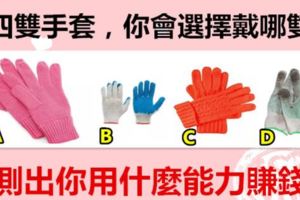 四雙手套，你會選擇戴哪雙？測出你用什麼能力賺錢