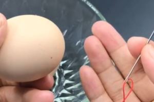 用針在雞蛋上紮1個洞，10個人9個人不知道，學會後受用一生！