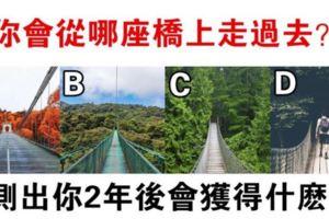 心理測試：你會走哪座橋？測出你2年後會收穫什麼好事？
