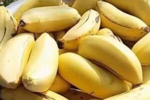 為什麼香蕉會變黑？表皮全黑的香蕉還能吃嗎？儲存香蕉有妙招