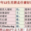 2017年12生肖將走什麼好運？88秒內轉走2017年走大運！真的靈驗！