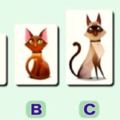 測試：哪隻貓咪在你背後調皮？測出你最在乎誰！