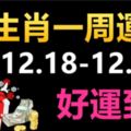 董易奇12生肖一周運勢（12.18-12.24）