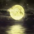 祭月祈願「貌似嫦娥、圓如皓月」、走月、拜兔兒爺……還有哪些中秋習俗，你了解不？