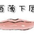 上嘴唇代表「情」，下嘴唇代表「欲」，嘴唇的薄厚確定你運勢的好壞