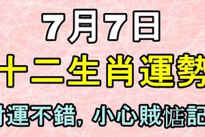 7月7日生肖運勢，財運不錯，小心賊惦記！