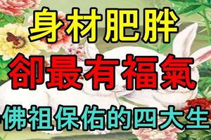 身材肥胖，卻最有福氣，得佛祖保佑的四大生肖！