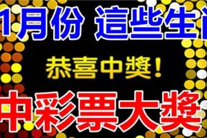 11月份，這些生肖，中彩票大獎概率是最高的！