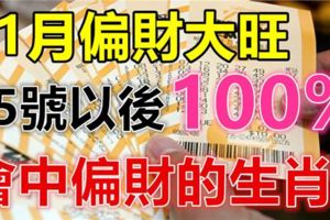 11月偏財大旺，15號以後100%會中偏財的生肖！