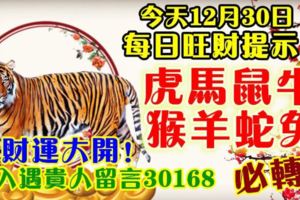 今天12月30日,每日旺財提示：虎馬鼠牛，猴羊蛇兔。財運大開！出入遇貴人留言30168必轉！