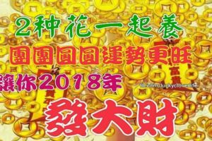 2種花一起養，團團圓圓運勢更旺，讓你2018年發大財！