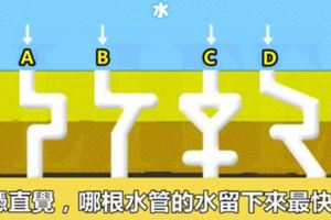 憑直覺，哪根水管水流下來更快？測你的脾氣性格