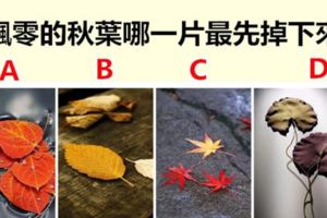 飄零的秋葉哪一片最先掉下來？測這個秋天你的運勢？