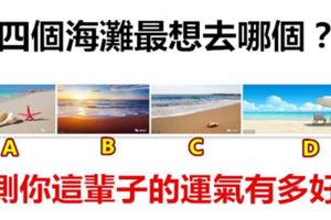 四個海灘最想去哪個？測你這輩子的運氣有多好~