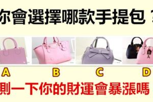 你會選擇哪款手提包？測一下你的財運會暴漲嗎？