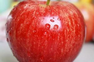 心理學：你覺得哪個蘋果裡面是壞的？測出你的疑心病程度有多深
