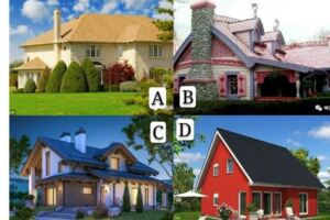 你有錢你會購買哪套房子？測出你將來會混到哪個階層？