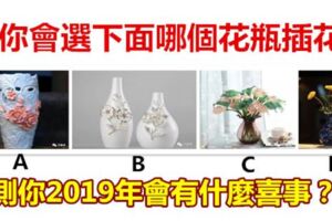 你會選下面哪個花瓶插花，測你2019年會有什麼喜事？