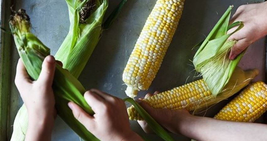 煮玉米的水不要倒掉了，它的這6大妙用，能為你省下不少錢！