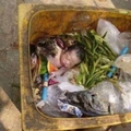  拾荒的流浪漢在垃圾桶看到被丟棄的女嬰，獨力撫養她八年後現在他們過著這樣的生活！
